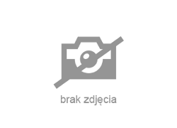 Pozostałe TGE - zobacz ofertę